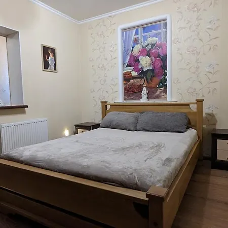 Townhouse Euro Жд Вокзал, Фонтан, Чеки Прро Villa Vinnytsia Exterior photo